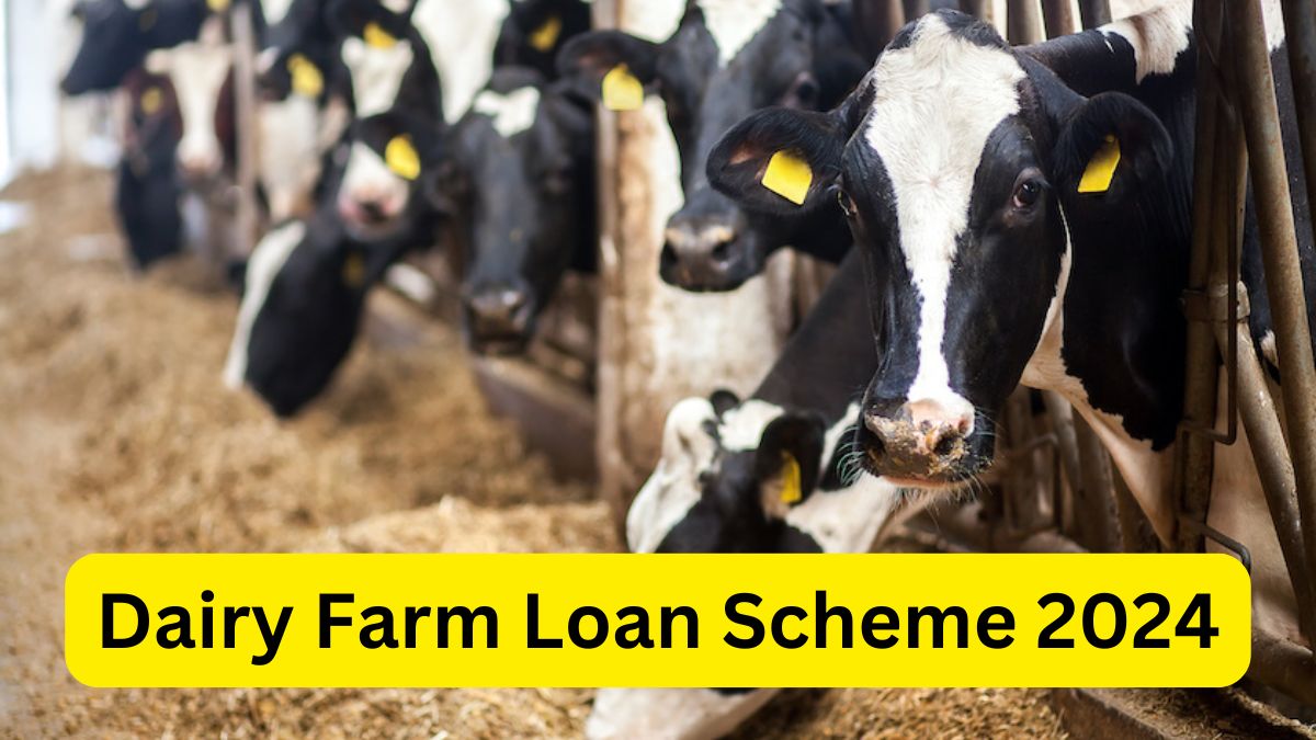 Dairy Farm Loan Scheme 2024