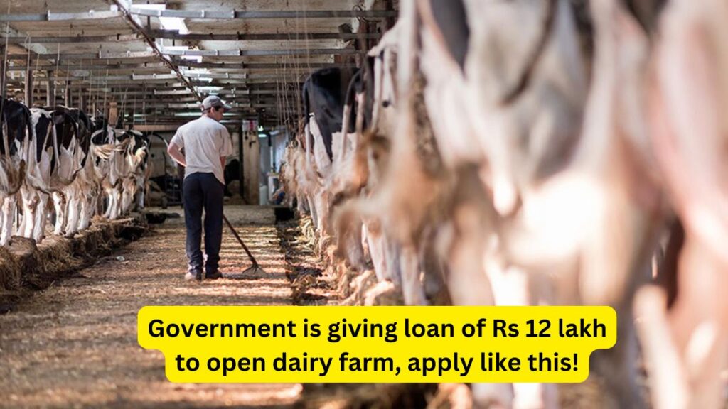 Dairy Farm Loan Scheme 2024