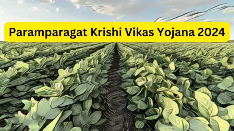 Paramparagat Krishi Vikas Yojana 2024